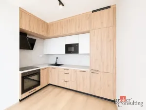 Pronájem bytu 2+kk, Plzeň - Jižní Předměstí, Železná, 79 m2