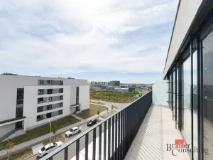 Pronájem bytu 2+kk, Plzeň - Jižní Předměstí, Železná, 79 m2