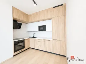 Pronájem bytu 2+kk, Plzeň - Jižní Předměstí, Železná, 79 m2