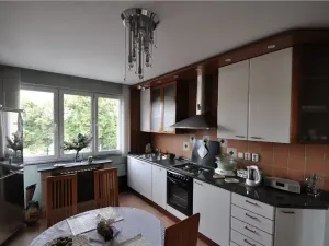Pronájem bytu 1+1, Praha - Břevnov, Nad alejí, 56 m2