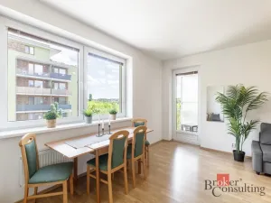 Prodej bytu 1+kk, Brno - Starý Lískovec, U Leskavy, 48 m2