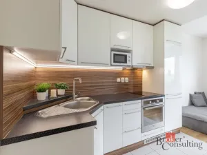 Prodej bytu 1+kk, Brno - Starý Lískovec, U Leskavy, 48 m2