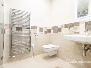 Pronájem bytu 1+kk, Praha - Nové Město, U půjčovny, 38 m2