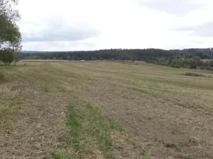 Prodej pole, Tachov, 842 m2