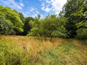 Prodej rodinného domu, Koberovice, 75 m2