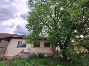 Prodej rodinného domu, Čížkovice, Na sídlišti, 136 m2