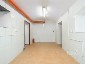 Prodej restaurace, Liberec - Liberec XXX-Vratislavice nad Nisou, Tanvaldská, 204 m2