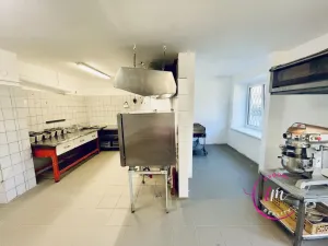 Pronájem komerční nemovitosti, Luka nad Jihlavou, nám. 9. května, 282 m2