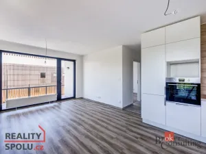 Pronájem bytu 2+kk, Plzeň - Východní Předměstí, Kartónová, 56 m2