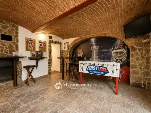 Prodej obchodního prostoru, Znojmo, Havlíčkova, 95 m2