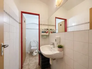 Prodej obchodního prostoru, Znojmo, Havlíčkova, 95 m2