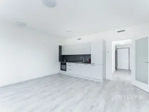 Pronájem bytu 1+kk, Praha, 38 m2