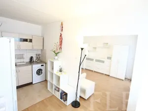 Pronájem bytu 1+kk, Praha - Krč, Tajovského, 34 m2