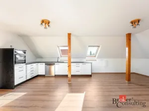 Pronájem bytu 3+kk, Mladá Boleslav - Bezděčín, 110 m2