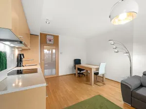 Prodej bytu 2+kk, Praha - Žižkov, Pitterova, 52 m2
