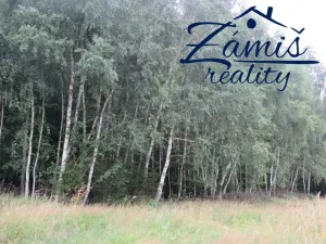 Prodej lesa, Pohledy, 7200 m2