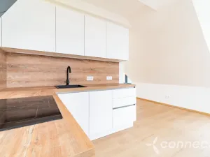 Prodej bytu 1+kk, Nový Bor, Prokopa Velikého, 45 m2