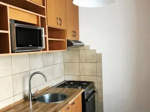Pronájem bytu 1+1, Ostrava, U Lesa, 34 m2