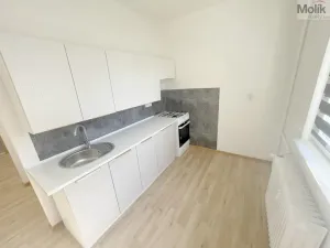Prodej bytu 1+1, Most, Vítězslava Nezvala, 36 m2