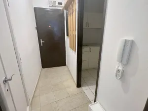 Pronájem bytu 1+kk, Praha - Žižkov, Baranova, 28 m2