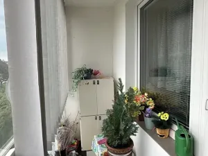Prodej bytu 3+1, Šumperk, J. z Poděbrad, 61 m2