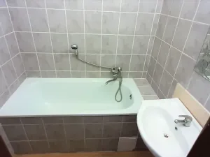 Pronájem bytu 3+1, Bor - Damnov, Damnov, 72 m2