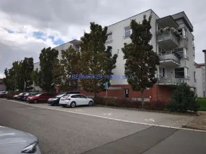 Pronájem bytu 1+kk, Hradec Králové, Rybova, 30 m2