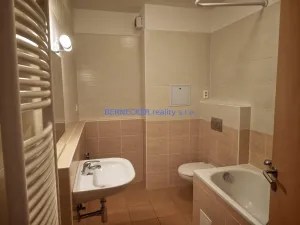 Pronájem bytu 1+kk, Hradec Králové, Rybova, 30 m2