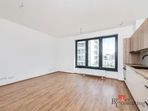 Pronájem bytu 1+kk, Plzeň - Jižní Předměstí, Železná, 38 m2