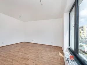 Pronájem bytu 1+kk, Plzeň - Jižní Předměstí, Železná, 38 m2