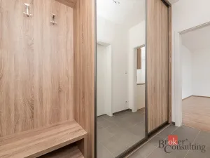 Pronájem bytu 1+kk, Plzeň - Jižní Předměstí, Železná, 38 m2