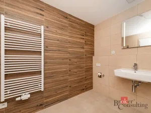 Pronájem bytu 1+kk, Plzeň - Jižní Předměstí, Železná, 38 m2