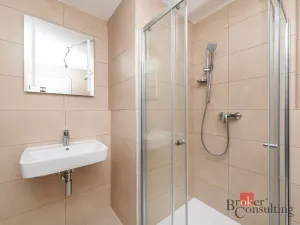 Pronájem bytu 1+kk, Plzeň - Jižní Předměstí, Železná, 38 m2