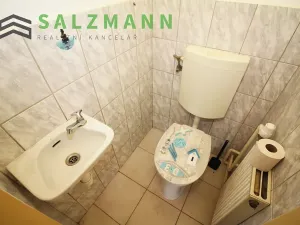 Prodej rodinného domu, Horšovský Týn, 280 m2