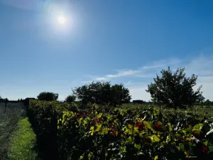 Prodej sadu/vinice, Týnec, Náves, 1237 m2