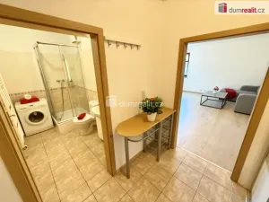 Pronájem bytu 1+kk, Kralupy nad Vltavou, Přemyslova, 38 m2