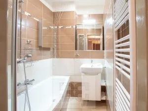 Pronájem bytu 3+kk, Plzeň, Francouzská třída, 52 m2