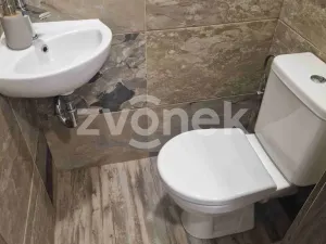 Pronájem bytu 3+1, Uherské Hradiště, Štěpnická, 62 m2