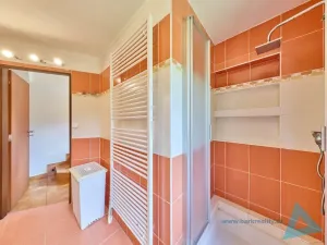 Prodej rodinného domu, Pecka - Bělá u Pecky, 250 m2