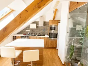 Pronájem bytu 2+kk, Plzeň - Východní Předměstí, Francouzská třída, 50 m2