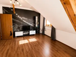 Pronájem bytu 2+kk, Plzeň - Východní Předměstí, Francouzská třída, 50 m2