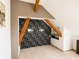 Pronájem bytu 2+kk, Plzeň - Východní Předměstí, Francouzská třída, 50 m2