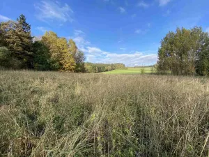 Prodej pozemku, Králíky - Horní Lipka, 3207 m2