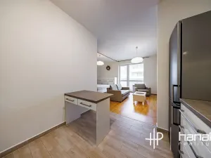 Pronájem bytu 1+kk, Olomouc, Mošnerova, 42 m2