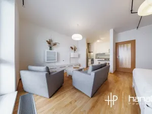Pronájem bytu 1+kk, Olomouc, Mošnerova, 42 m2
