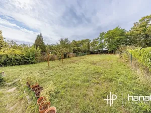 Pronájem bytu 2+1, Olomouc, Thomayerova, 58 m2