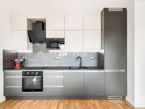 Pronájem bytu 2+kk, Praha - Vinohrady, Perucká, 60 m2