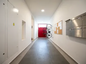 Pronájem bytu 2+kk, Pardubice - Bílé Předměstí, Bulharská, 63 m2