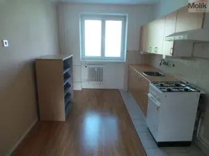 Prodej bytu 1+1, Meziboří, Okružní, 44 m2