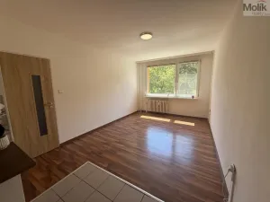 Pronájem bytu 2+kk, Most, Josefa Suka, 40 m2